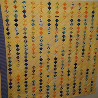 Blue and Yellow Leader Ender 2